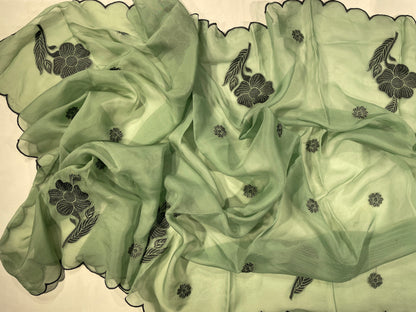 Green Organza Unstitched Salwar Suit