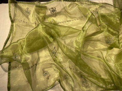 Green Shimmer Orgenza Unstitched Salwar Suit