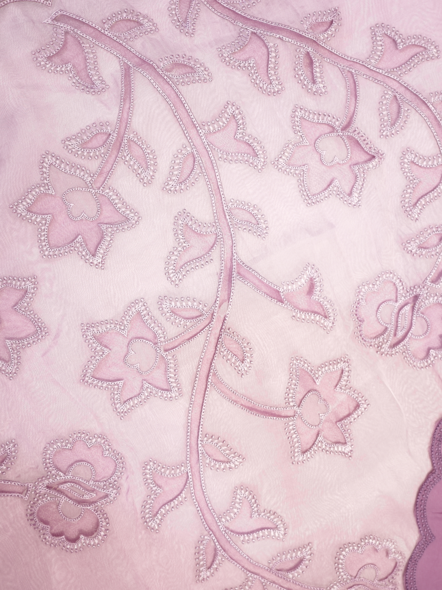 Organza Cut Work Suit